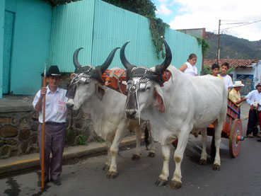 Costa Rica Ox Cart in Escazu